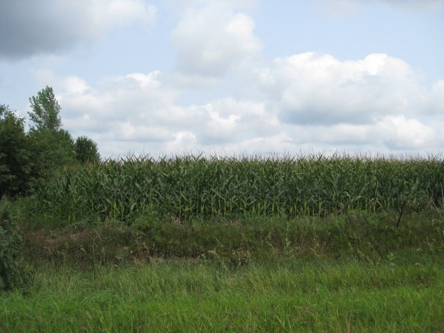 Land