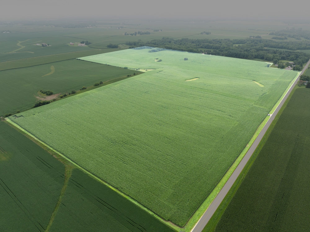 Land