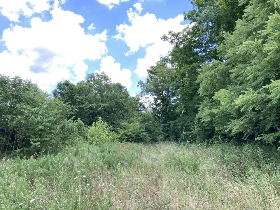 Land