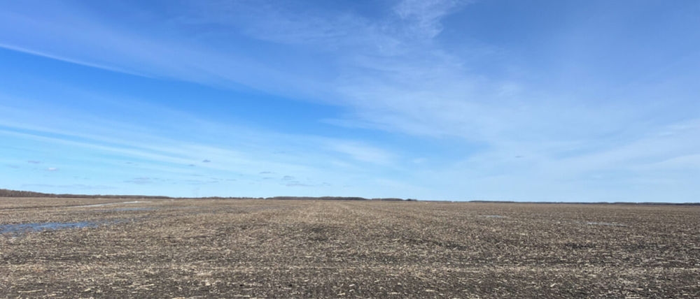 Land