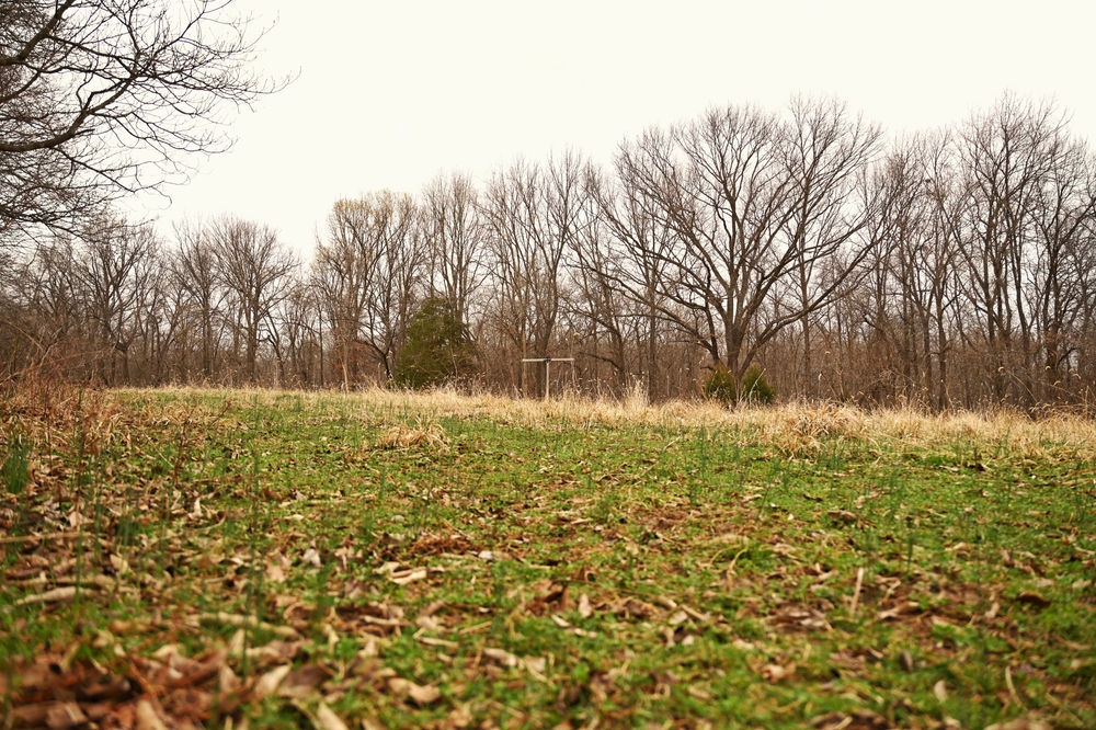 Land